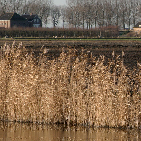 Zoom: Een vluusje ijs op de Waterling in de Beschoot; verder weg de Slimdijk en rechts de Beemsterbrug