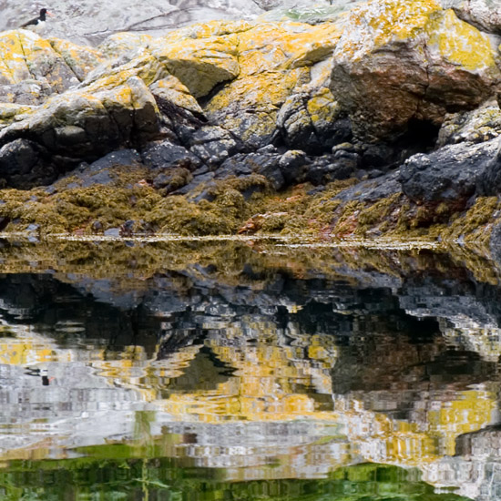 Zoom: Eilean Mhogh-sgeir mirrored in Loch Hourn
