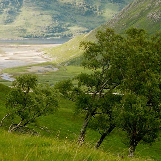 Zoom: Barrisdale from the path up Màm Barrisdale, after a heavy shower