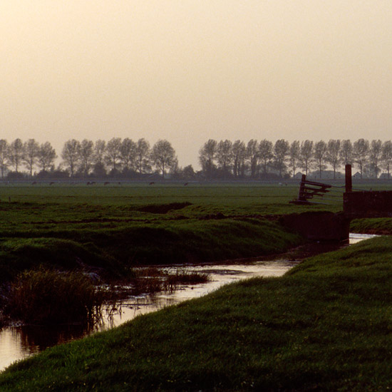 Zoom: De Kleine Waterling in de Beetskoog, op een novemberavond (1)