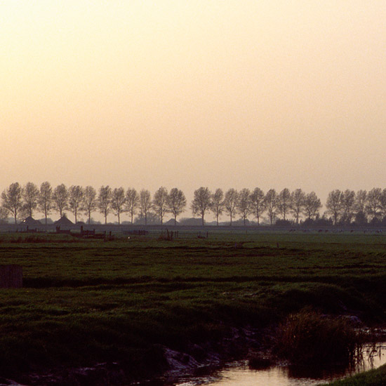 Zoom: De Kleine Waterling in de Beetskoog, op een novemberavond (2)