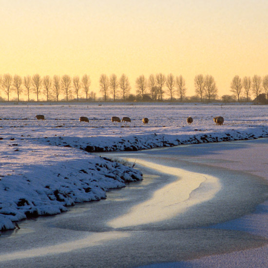 Zoom: Bevroren Waterling westwaarts vanaf de brug in de Beetskoog, tegen zonsondergang