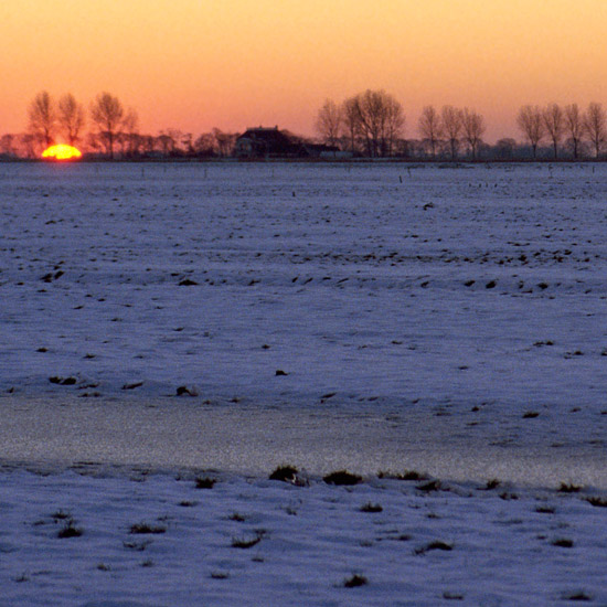 Zoom: Zonsondergang gezien vanuit de besneeuwde en verijsde Beetskoog