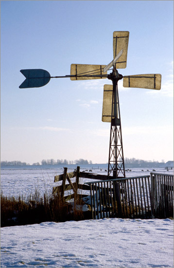 Molentje met doorschijnende wieken in de besneeuwde Beetskoog