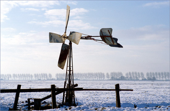 Het molentje in de hoek van de Beetskoog in de winterse ochtendzon; daarachter de populieren op de Beemsterdijk