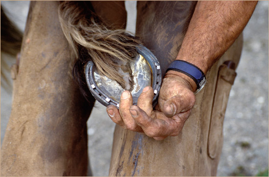 In farrier's hands