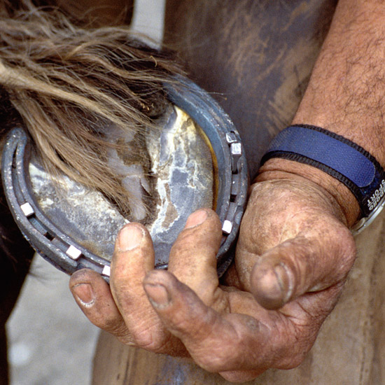 Zoom: In farrier's hands