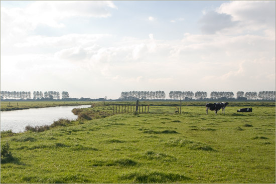 De Beetskoog en de Grote Waterling, glinsterend in de oktoberzon