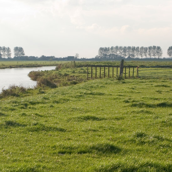 De Beetskoog en de Grote Waterling, glinsterend in de oktoberzon