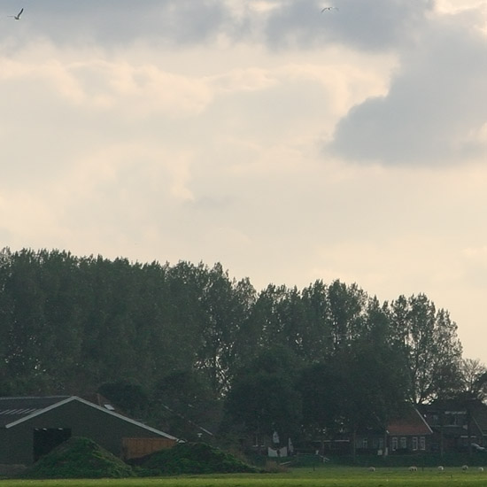 Zoom: Oktobergezicht op de Beets uit de verte; een bruggetje over de kleine Waterling als twee duikboten in de Beetskoog