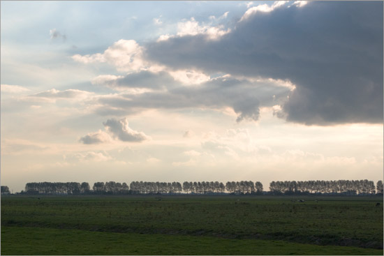 De Beetskoog en populieren op de Noorddijk aan het begin van een oktoberavond