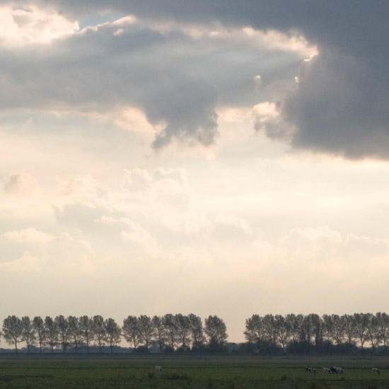 De Beetskoog en populieren op de Noorddijk aan het begin van een oktoberavond