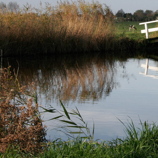 Zoom: De voetbrug bij de Lange Weide op een novemberochtend