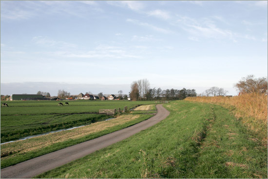 De Beetskoogkade vanaf tegenover de Lange Weide, op een zonnige novemberochtend