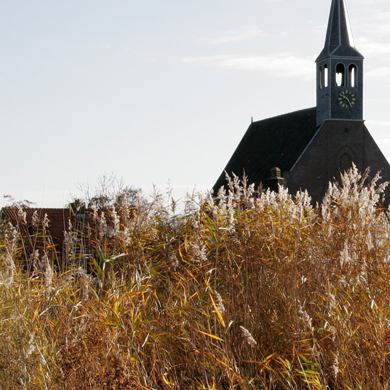 Riet in het licht van de ochtendzon in november, met Oudendijks kerkje erachter in tegenlicht