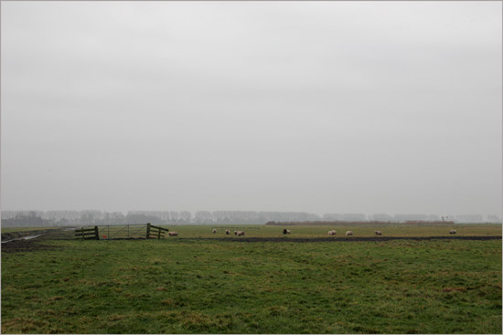 De Beetskoog in de decembernevel, vanaf het land van Worp achter het oude gemaal