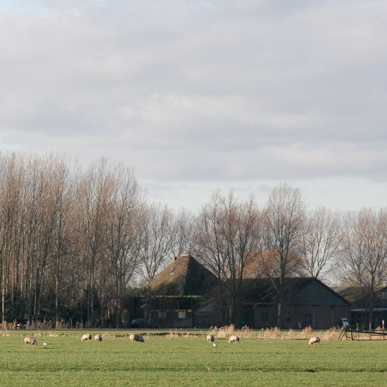 Zoom: Zuideinde van de Slimdijk op een zonnige tweede kerstdag, gezien vanuit de Beschoot (2)