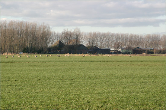 Zuideinde van de Slimdijk op een zonnige tweede kerstdag, gezien vanuit de Beschoot (1)