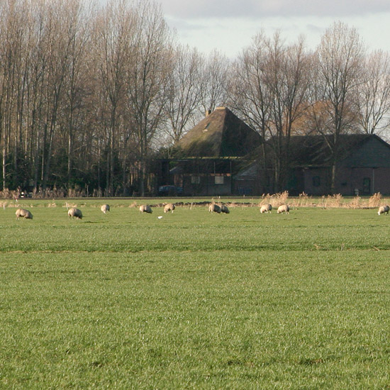 Zuideinde van de Slimdijk op een zonnige tweede kerstdag, gezien vanuit de Beschoot (1)