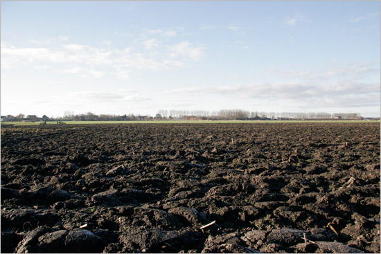 Maisland in de Beschoot op 2e kerstdag; in de verte de Slimdijk met links de Dorpsweg