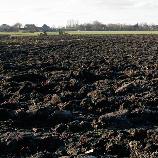 Maisland in de Beschoot op 2e kerstdag; in de verte de Slimdijk met links de Dorpsweg