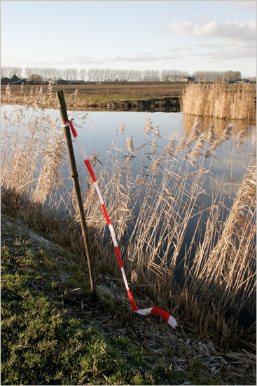 Rood en wit op de berijpte oever van de Waterling in de Beschoot