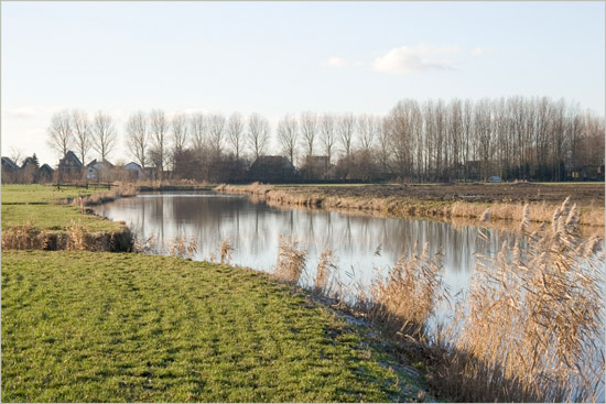 Het begin van de Beschoter Waterling achter de Slimdijk op een zonnige winterdag