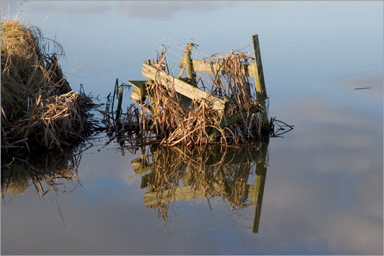 Een tamelijk natte laagzit in de Beschoter Waterling; eenden zijn hier dus niet veilig