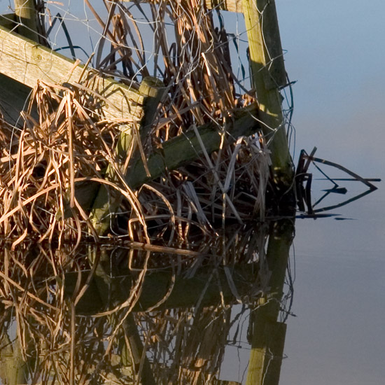 Zoom: Een tamelijk natte laagzit in de Beschoter Waterling; eenden zijn hier dus niet veilig