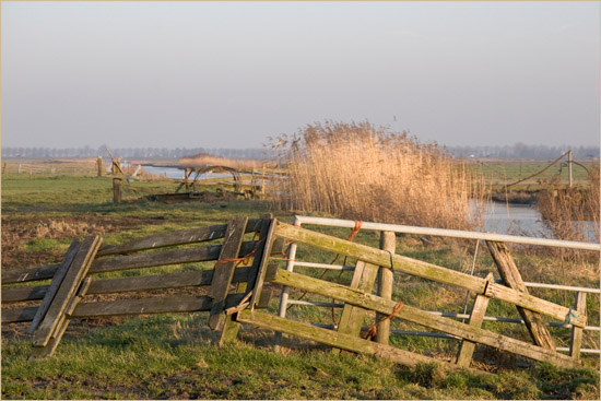 Boerenkunst in de koog, fraai belicht door een late januarizon