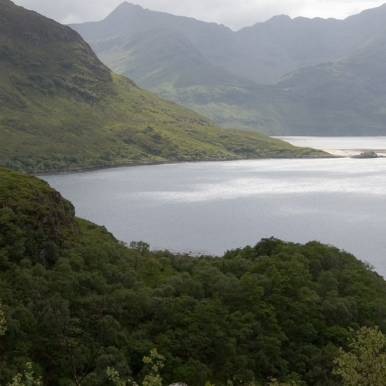 Silver light on windswept Loch Hourn beyond the wooded dragon’s head at Caolas Mòr