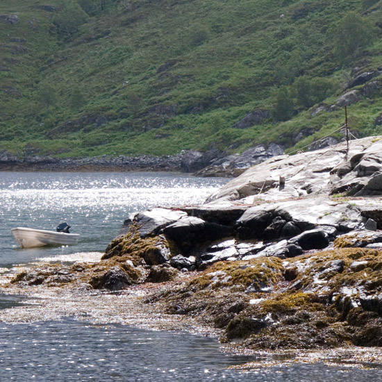 Zoom: Sudden sunlight on Barisdale landing point