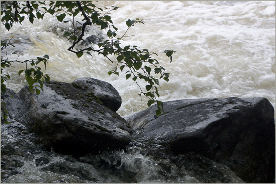 Water, water everywhere, and every drop to drink