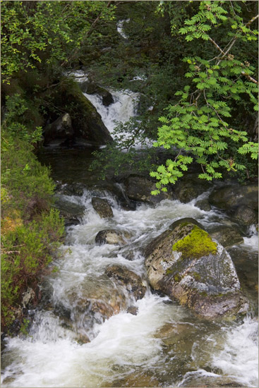 Allt Coire Mhicrail - aka the Skiary burn - from the bridge in the footpath to Barisdale