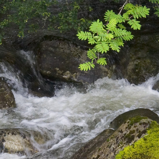 Zoom: Allt Coire Mhicrail - aka the Skiary burn - from the bridge in the footpath to Barisdale