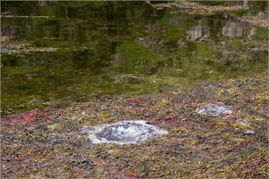 Rising tide forcing the air from Loch Hourn’s bottom