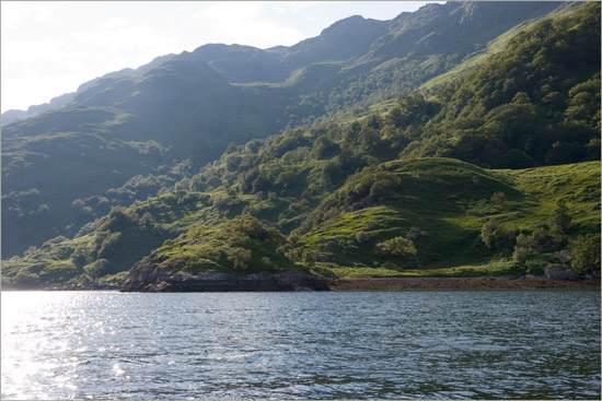 Evening light caressing the velvet slopes of Druim Fada along Loch Hourn