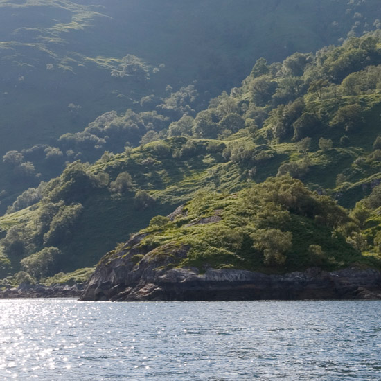 Evening light caressing the velvet slopes of Druim Fada along Loch Hourn