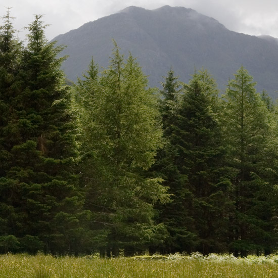 Zoom: Slat Bheinn, the solitary hill in Glen Barrisdale; a morning view from the White House