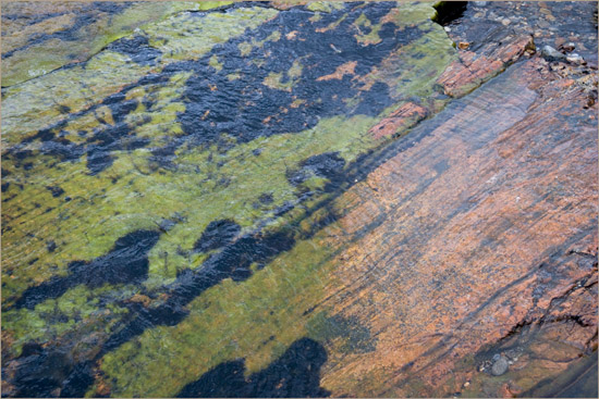 The colours of darkness; the bottom of upper Abhainn Chòsaidh on a very dark afternoon