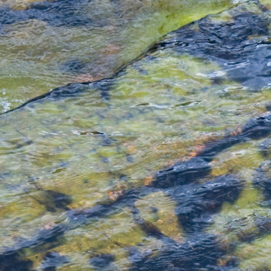 Zoom: The colours of darkness; the bottom of upper Abhainn Chòsaidh on a very dark afternoon