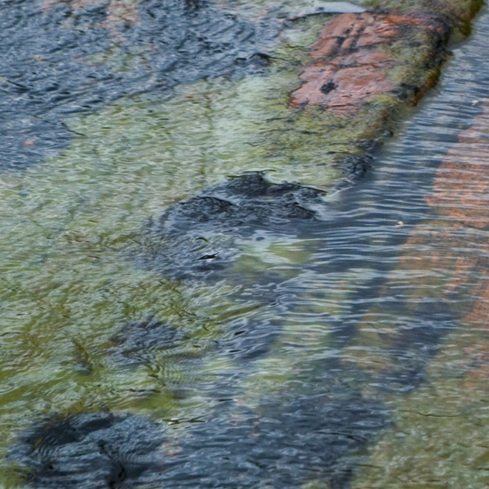 Zoom: The liquid colours of gloom; Abhainn Chòsaidh's upper course on a very dark afternoon