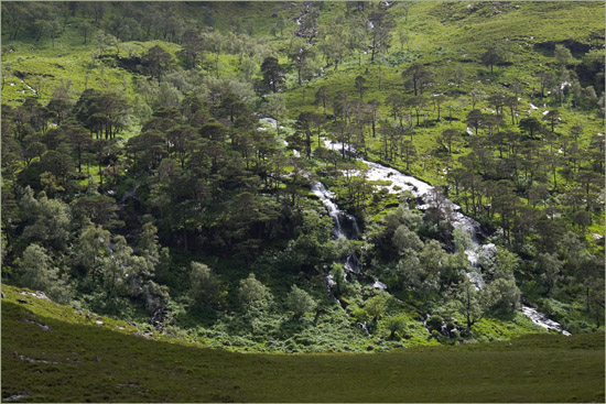 Water hurtling down from Sgurr a' Choire-bheithe into Glen Barisdale