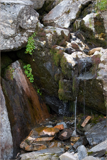 A dark and dripping place, near where Allt a' Chamuis Bhàin enters Coire Sgiath Airigh