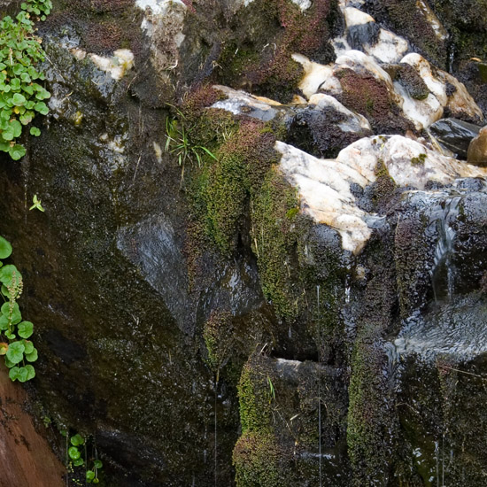 Zoom: A dark and dripping place, near where Allt a' Chamuis Bhàin enters Coire Sgiath Airigh