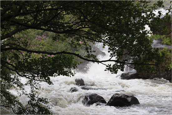 Rather wettish again, today