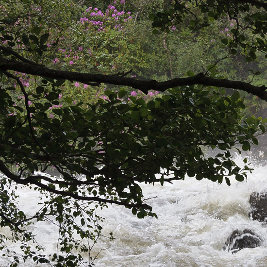 Rather wettish again, today