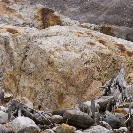 Zoom: Skeleton coast – drowning relics of a once beautiful glen, now engulfed by Loch Quoich