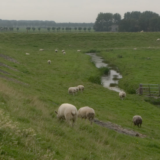 Zoom: Op de IJsselmeerdijk bij Etersheim – rechts de buitendijks gelegen Oosterkoog