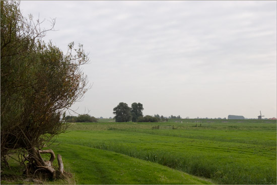 De Oosterkoog, buitendijks tegenover Etersheim bij Schardam, met links het IJsselmeer